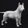 Bull terrier