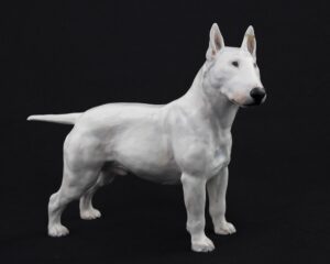 Bull terrier